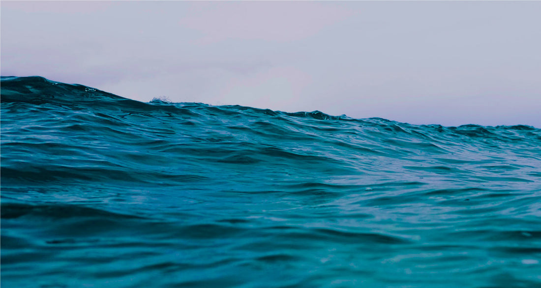 Five simple ways to protect the ocean