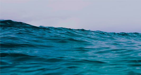 Five simple ways to protect the ocean