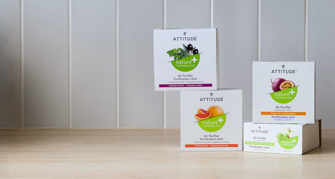 5 reasons to use an air purifier - ATTITUDE