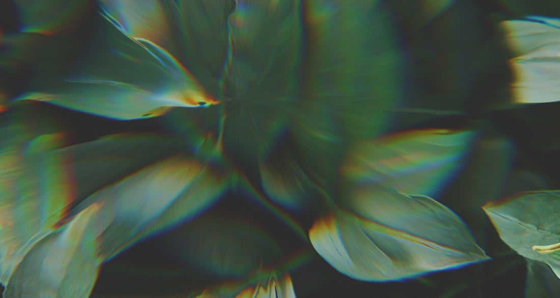 Banner Is it true half of cancers can be prevented?