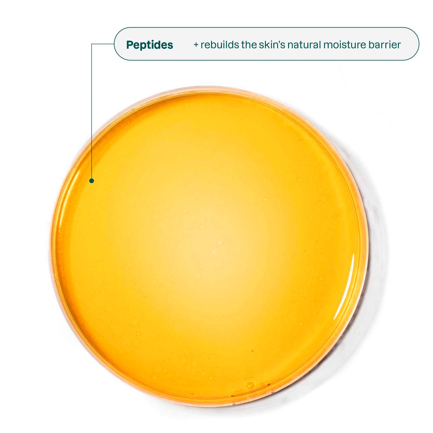 Ingredient peptides_en?