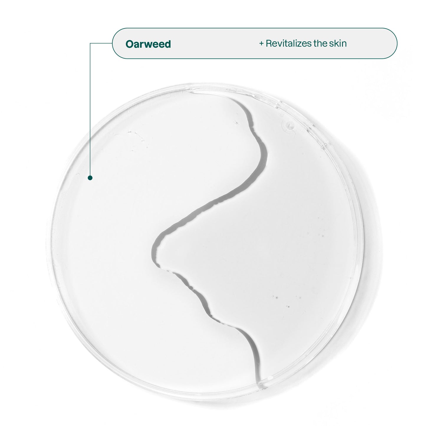 Solid Face Cleanser with Peptides: Oceanly Ingredient Oarweed_en? ALL_VARIANTS