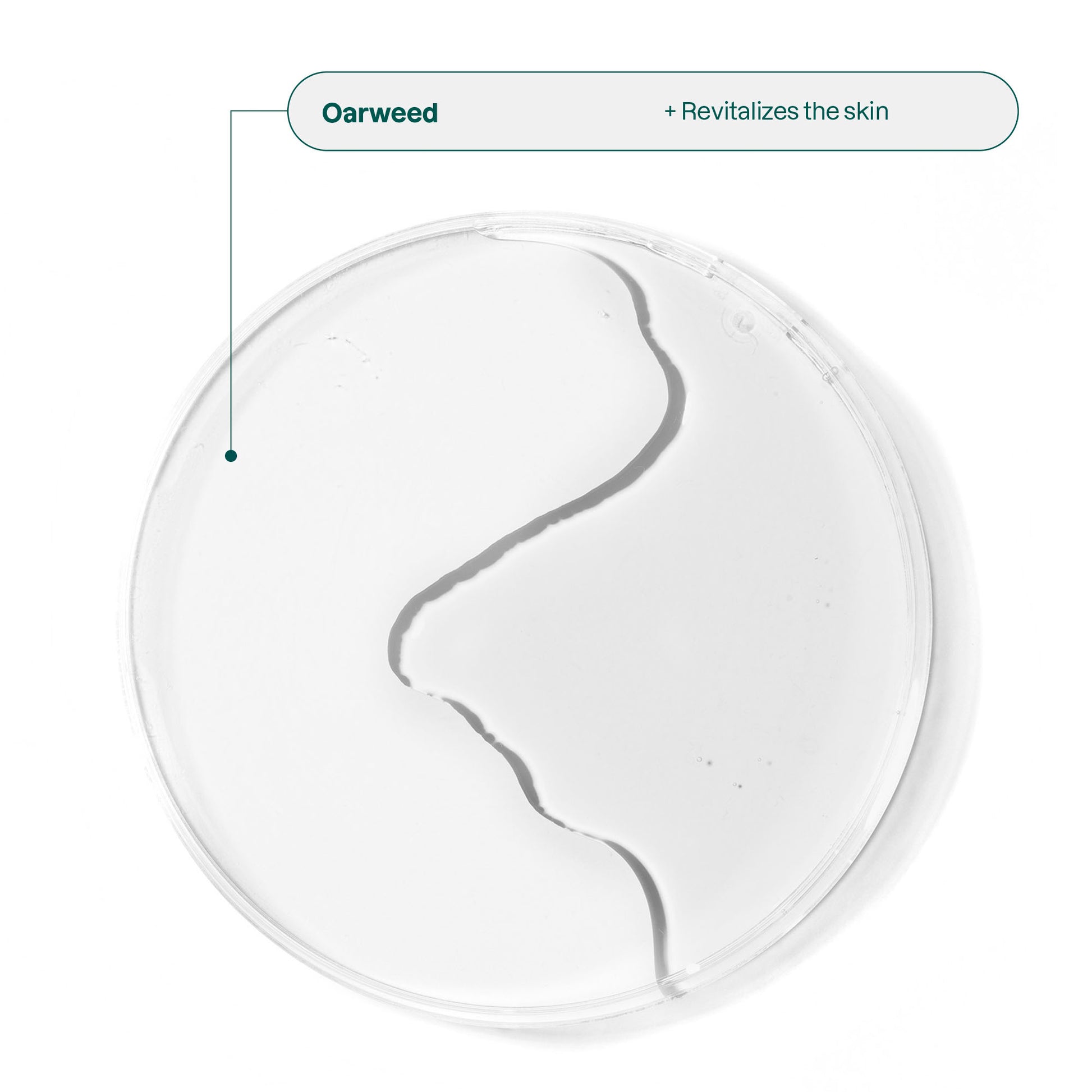 Solid Face Cleanser with Peptides: Oceanly Ingredient Oarweed_en? ALL_VARIANTS