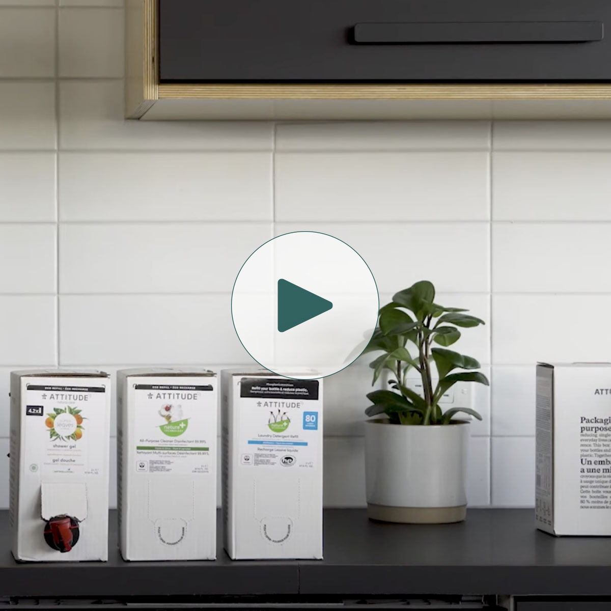 ATTITUDE Eco-refill vegetable wash _en?  ALL_VARIANTS