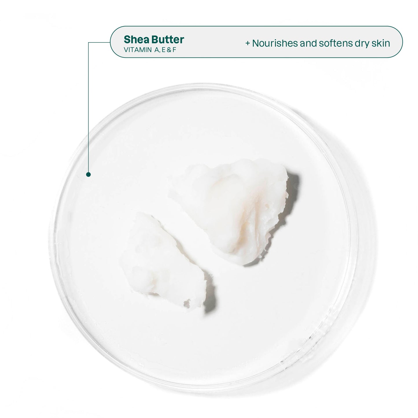 ATTITUDE Soothing Solid Eye Cream for Sensitive Skin: Oceanly - Phyto-Calm Ingredient Shea Butter_en? ALL_VARIANTS