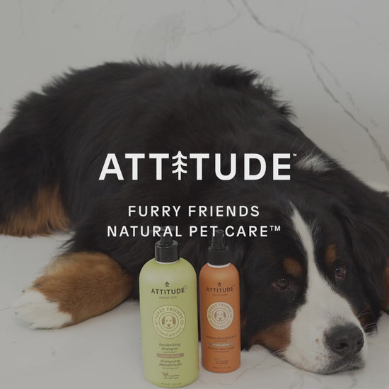 ATTITUDE-shampoo-deodorizing-lavander-81142_en?