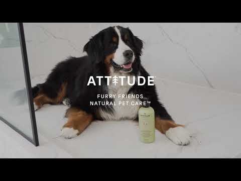 ATTITUDE-shampoo-deodorizing-lavander-81142_en?